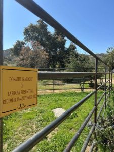 Photo of Loyal Friesians Fence