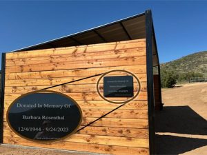 Photo of Press Paws Finished Shelter
