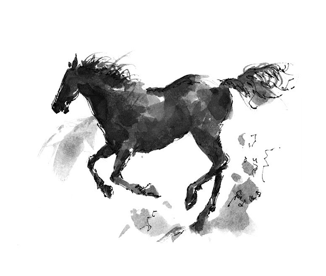 Range Conservation Foundation Logo